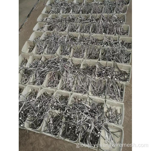 China Common nail Manufactory